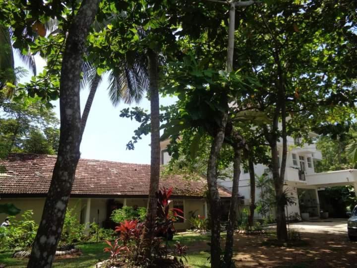 Nooit Gedacht Holiday Resort 乌纳瓦图纳 外观 照片