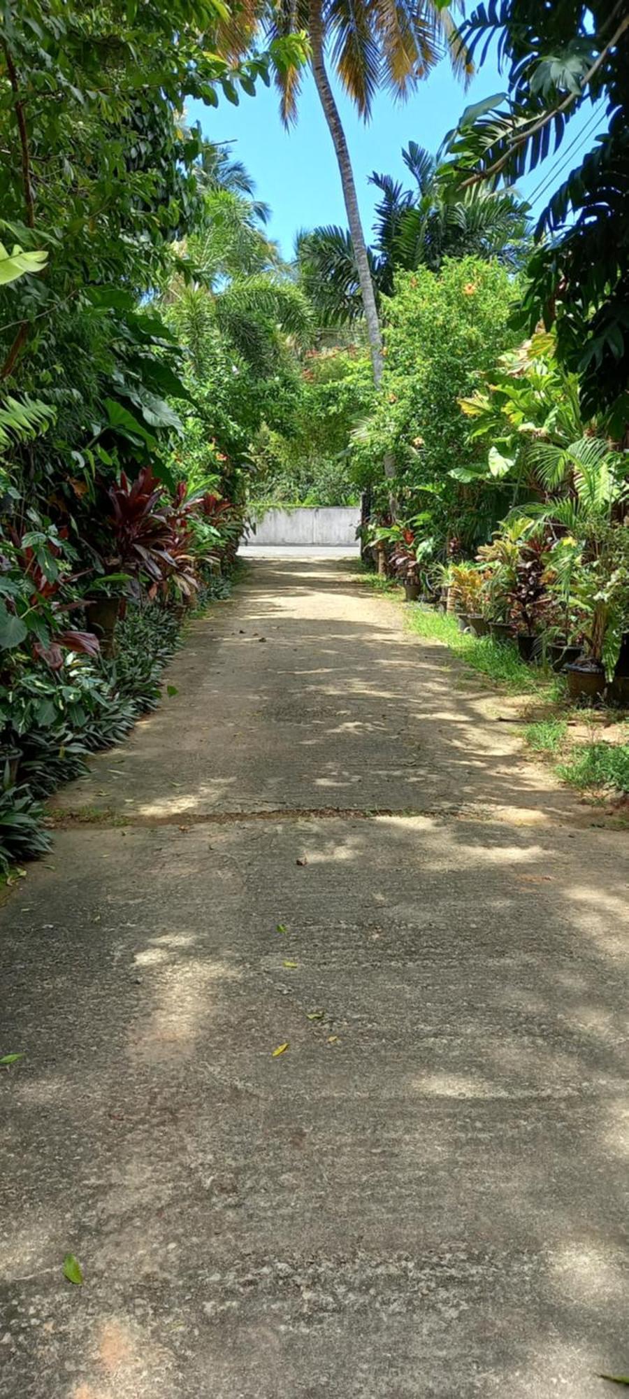 Nooit Gedacht Holiday Resort 乌纳瓦图纳 外观 照片