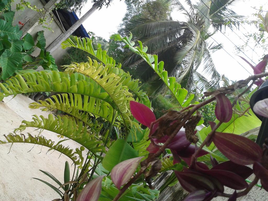 Nooit Gedacht Holiday Resort 乌纳瓦图纳 外观 照片
