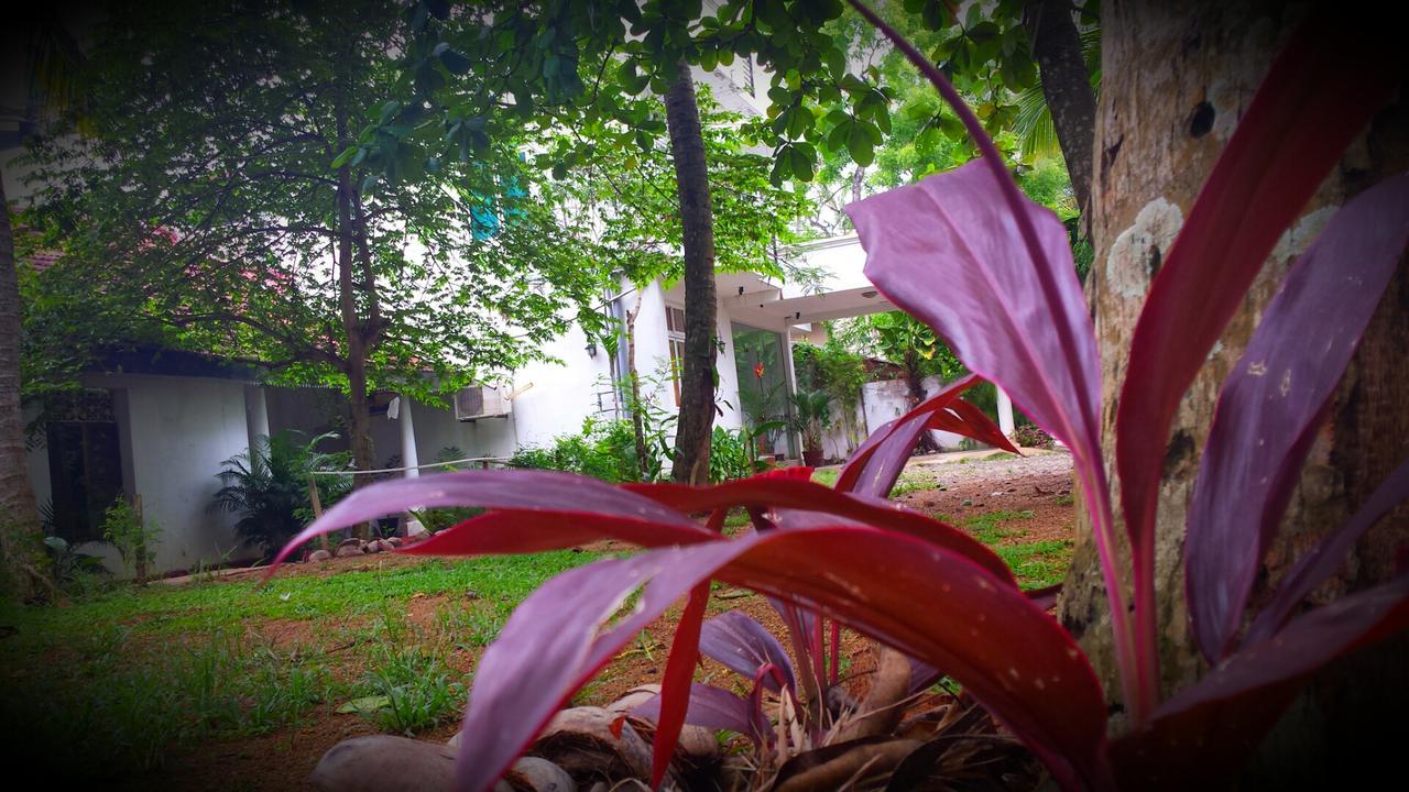 Nooit Gedacht Holiday Resort 乌纳瓦图纳 外观 照片