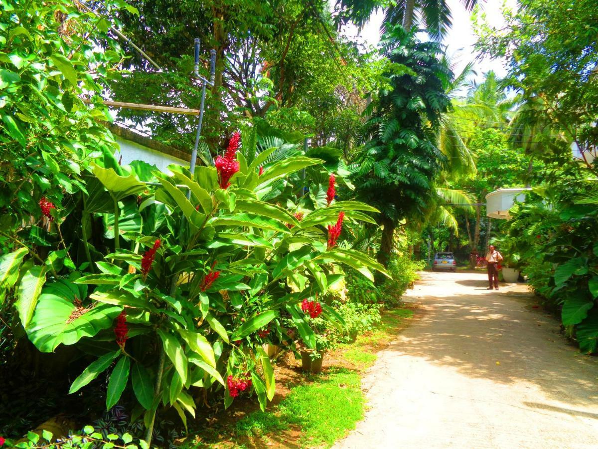 Nooit Gedacht Holiday Resort 乌纳瓦图纳 外观 照片