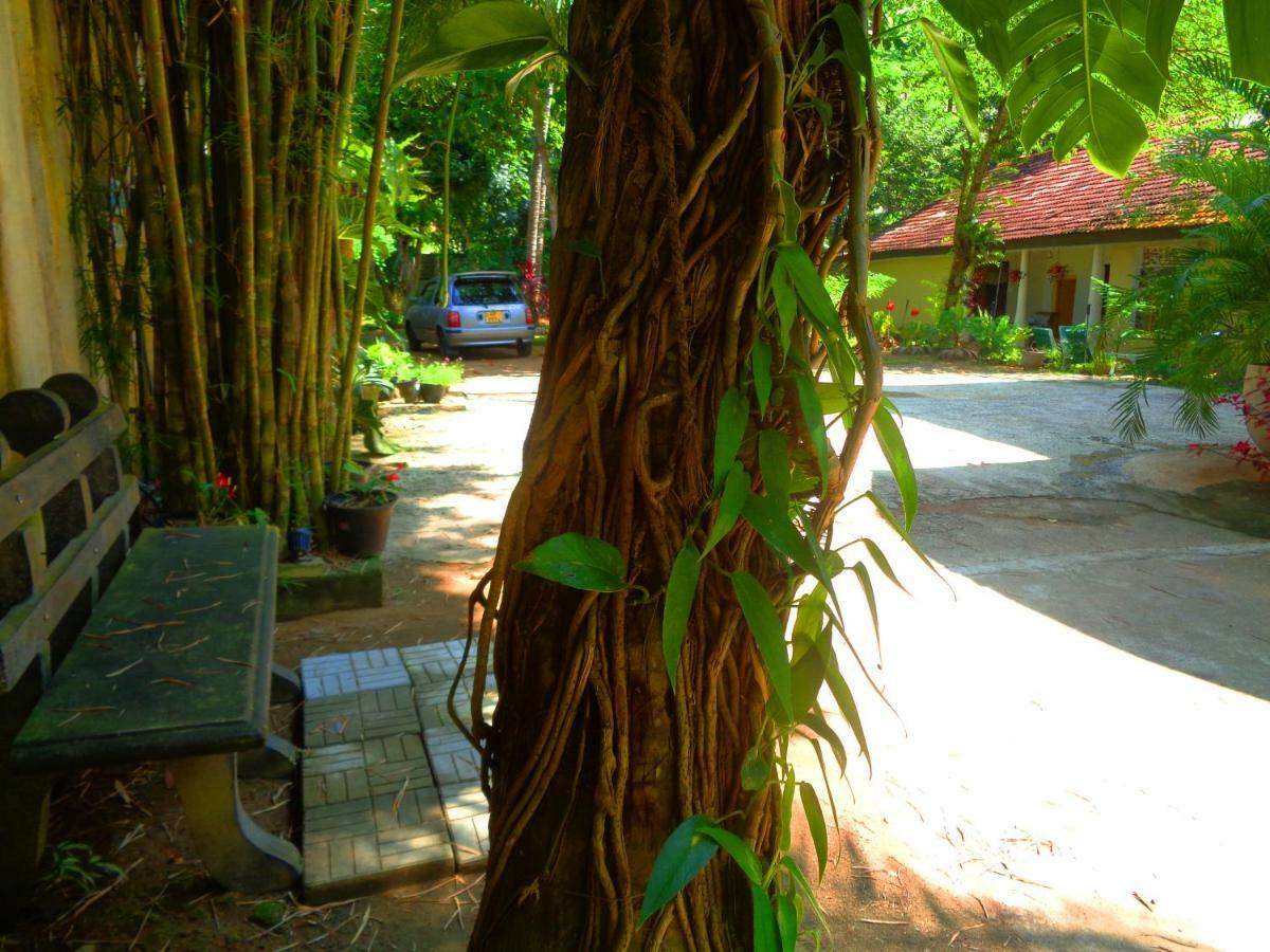 Nooit Gedacht Holiday Resort 乌纳瓦图纳 外观 照片