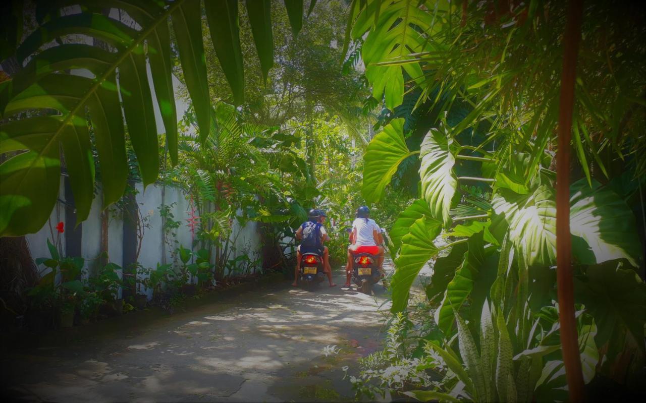 Nooit Gedacht Holiday Resort 乌纳瓦图纳 外观 照片